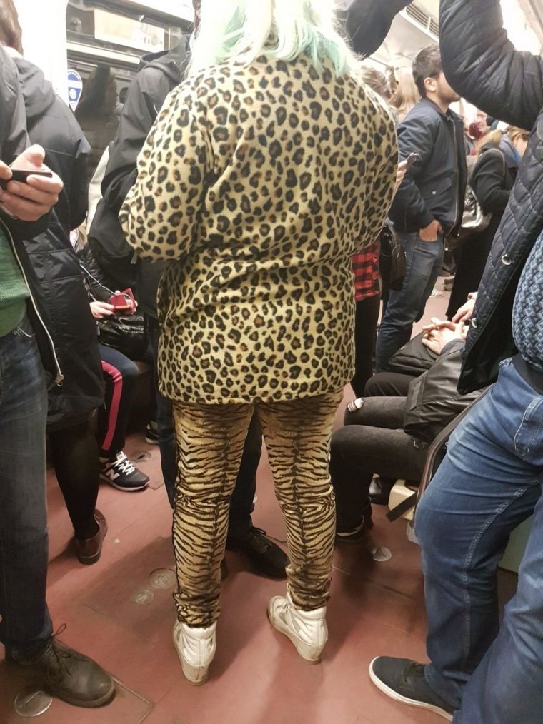 Wolford леопардовые колготки