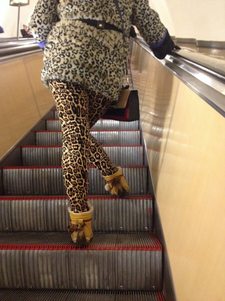 Девушка в леггинсах киска