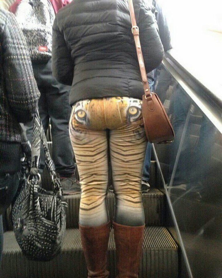 Толстач Дензина в леопард