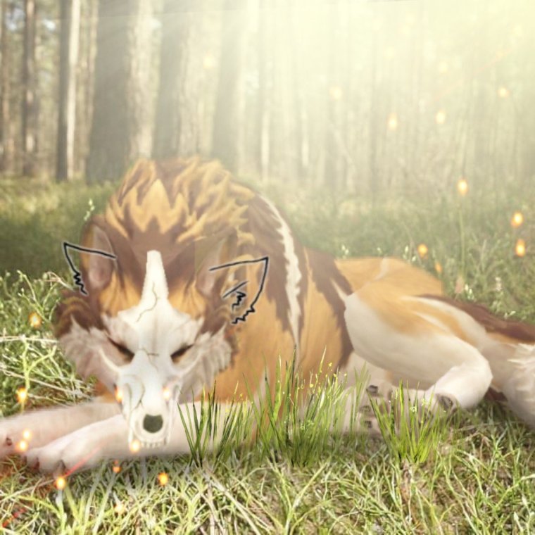 WILDCRAFT фенек снайпер