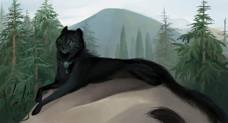 Обои на рабочий стол WILDCRAFT