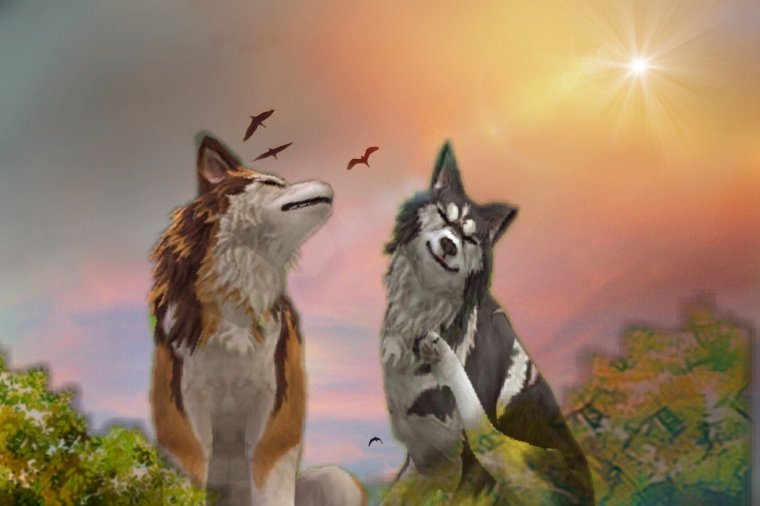 WILDCRAFT обработки