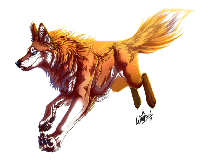 WILDCRAFT волк арт