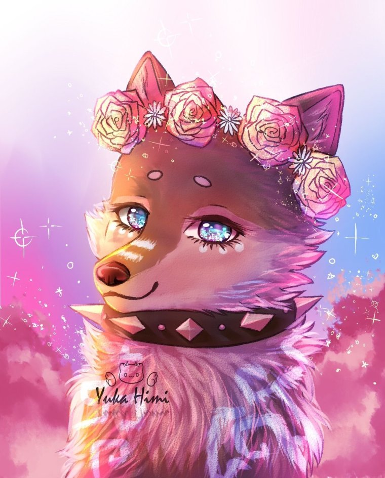 Вайлд крафт