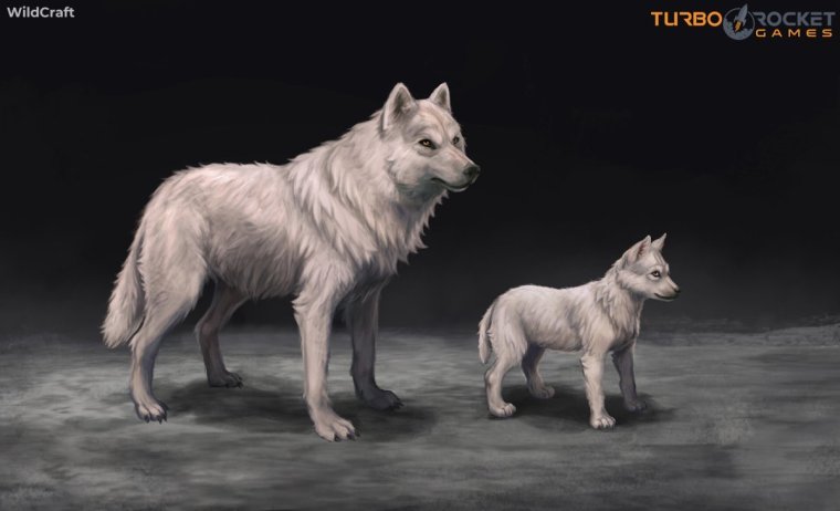 Вайлд крафт Мистик