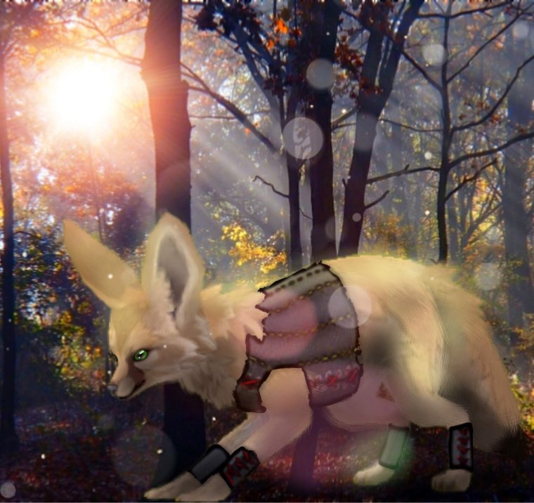 Фенек лиса WILDCRAFT