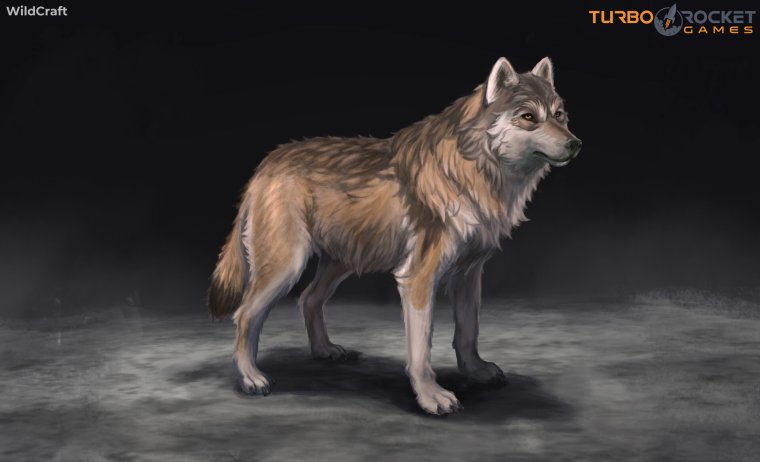 WILDCRAFT Wild Club волки