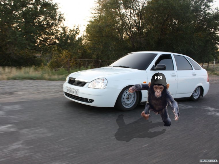 Чурки на приоре