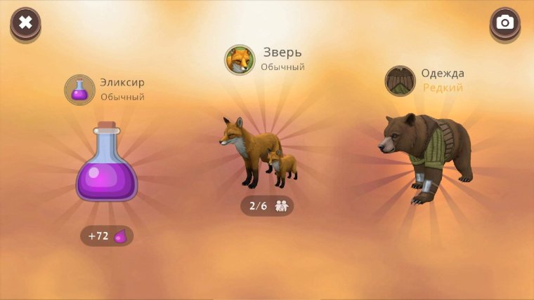 Вайлд крафт