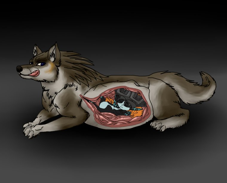 Вилд крафт Рысь вайлд