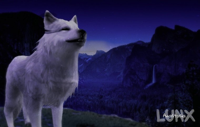 Волк из WILDCRAFT