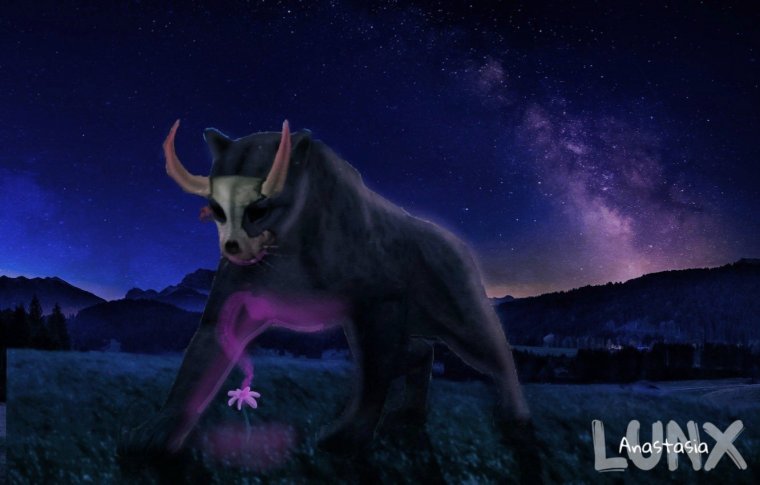 WILDCRAFT обработки