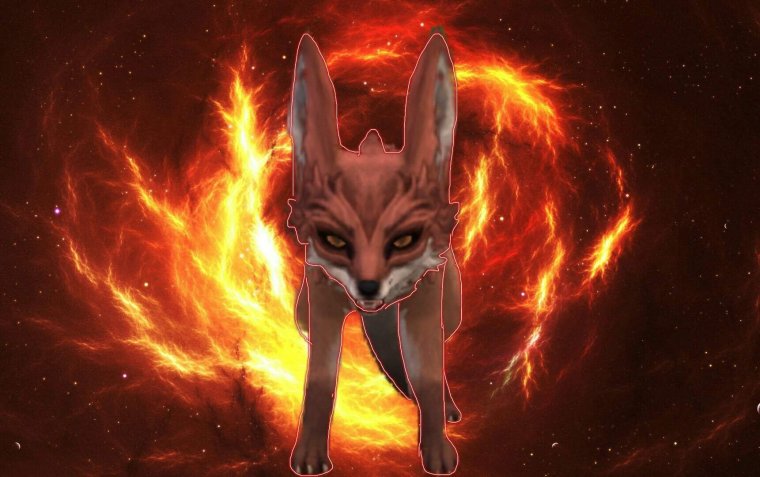 Фенек лиса WILDCRAFT