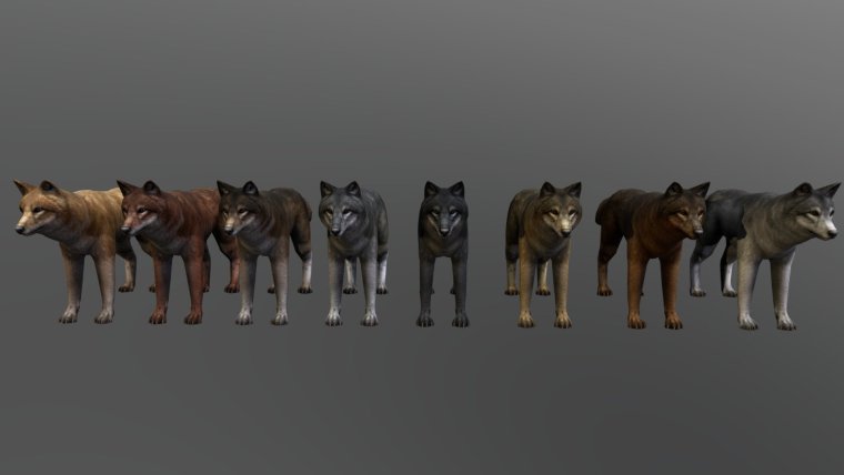 WILDCRAFT волчата