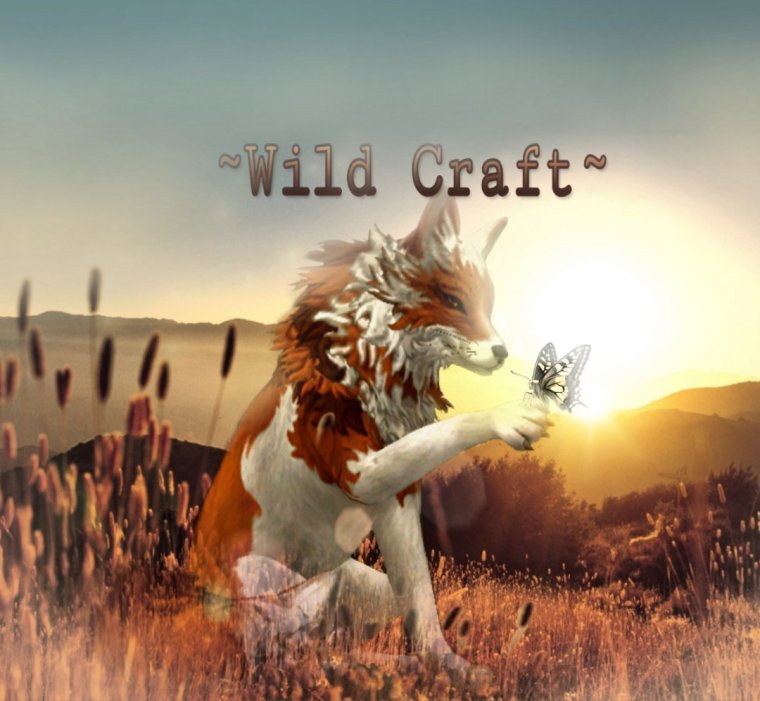 Вилд крафт арты
