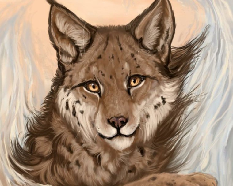 Вайлд крафт Рысь