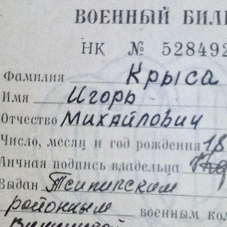 Самые смешные фамилии