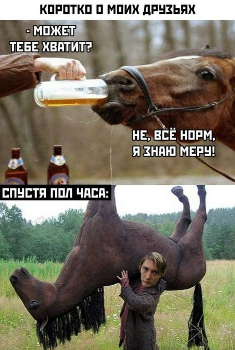 Смешные лошади с надписями