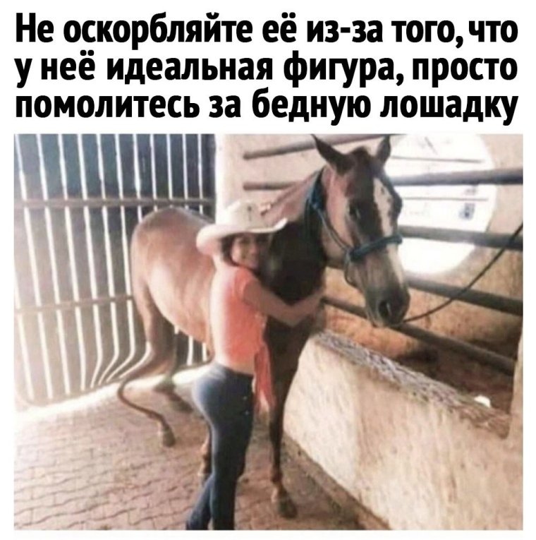 Лошадь ты это давай