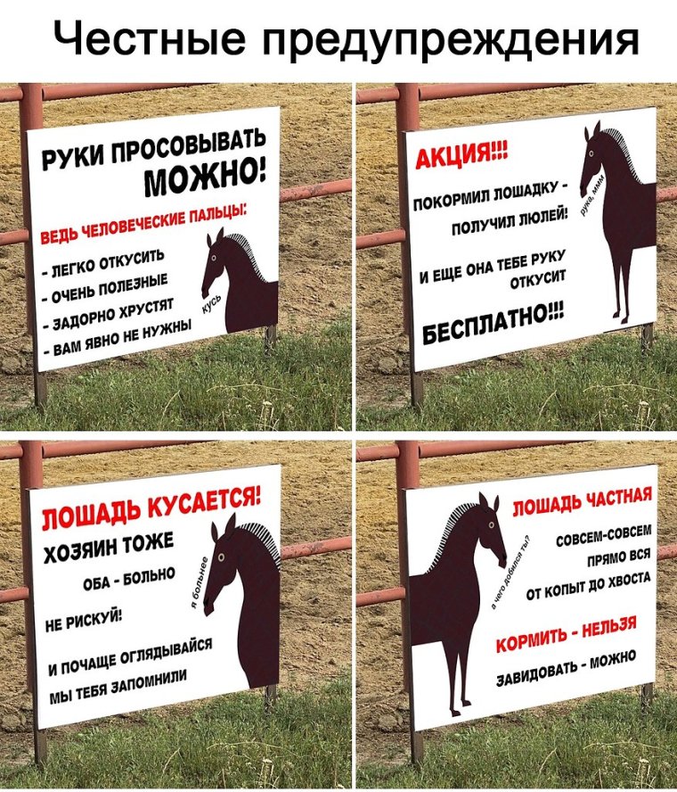 Скоро на всех конюшнях страны