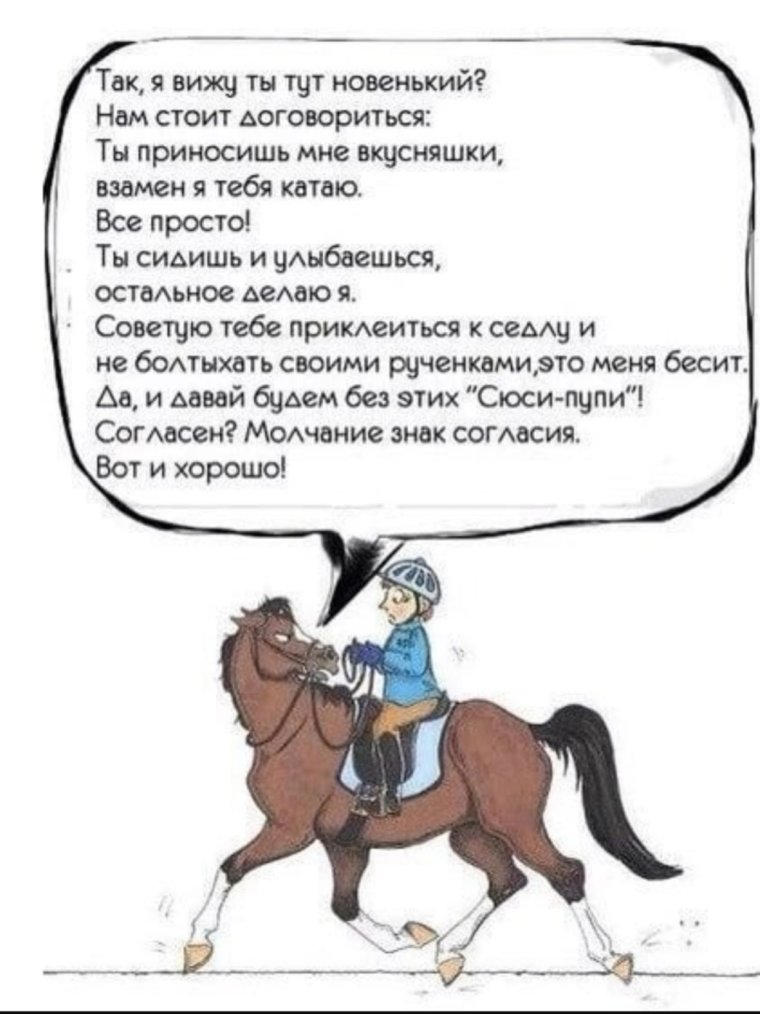 Демотиваторы про лошадей