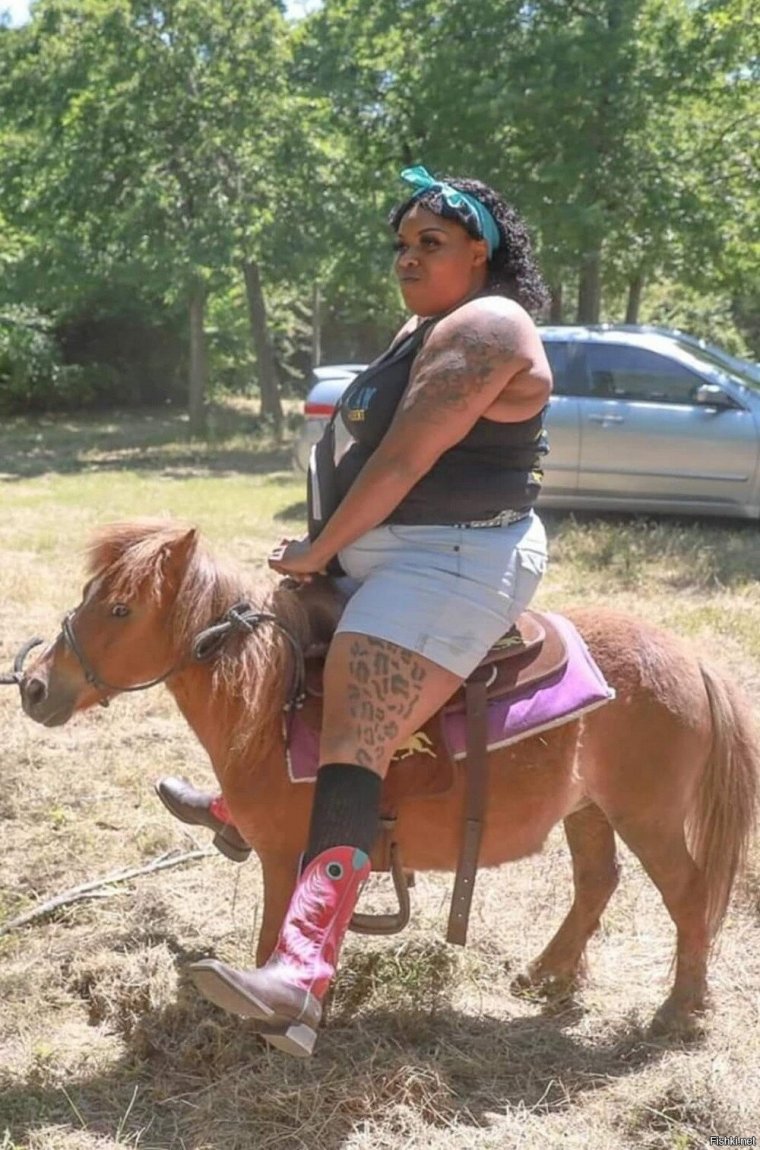 Удивлённый конь