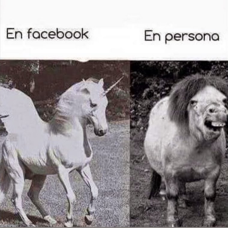 Шутки про единорогов