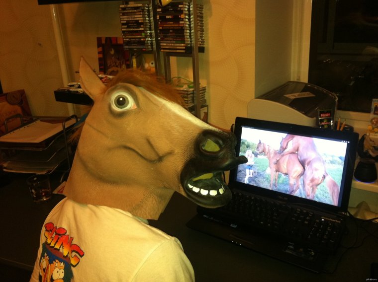 Лошадь юмор