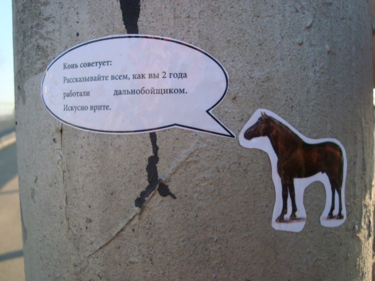 Забавные лошадки