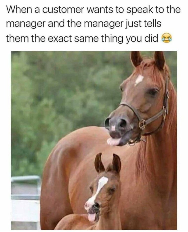 Мото приколы