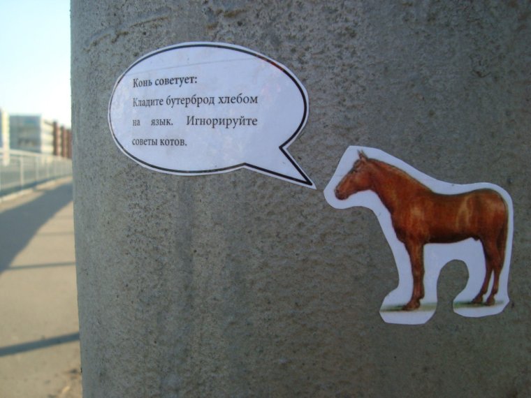 Лошадь юмор