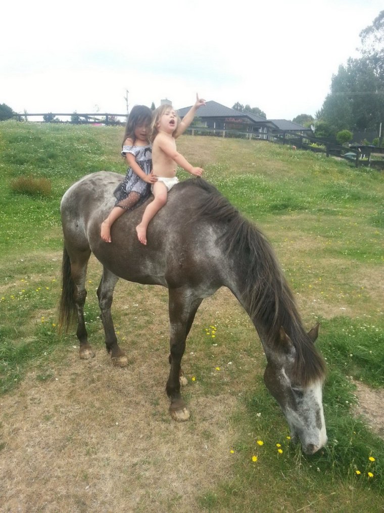 Конь не валялся прикол