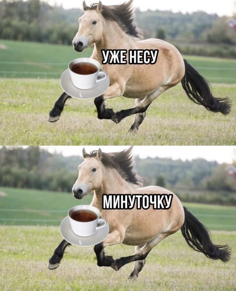 Принц на беломмконе прикол