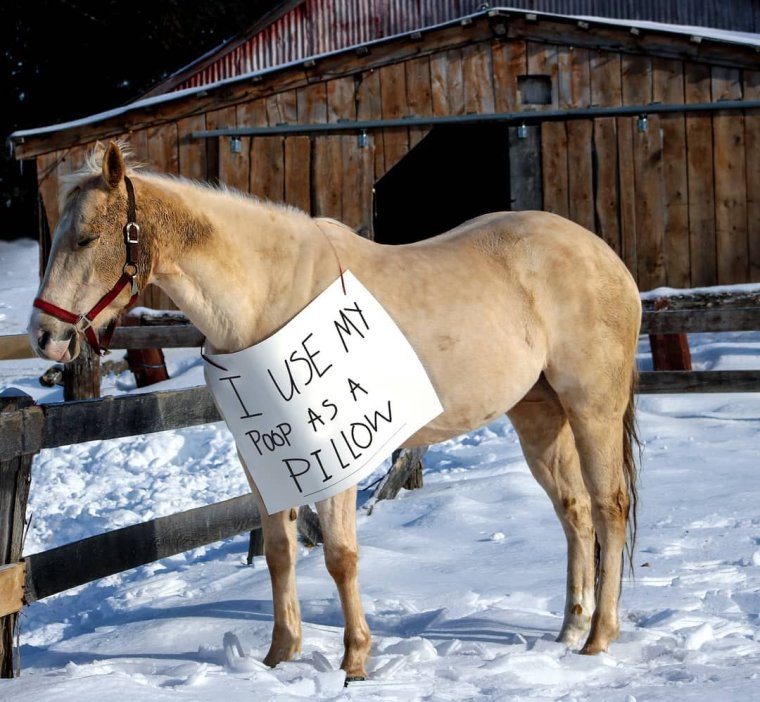 Аватарка жизнь прикол