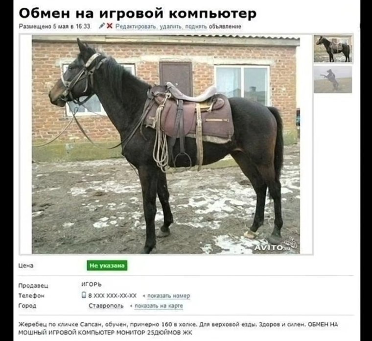 Табличка для лошади