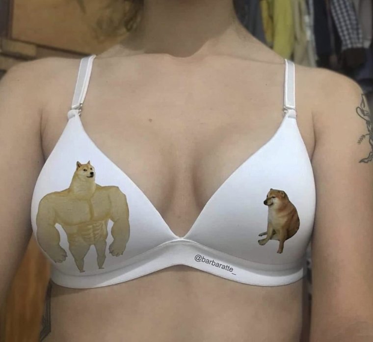 Бюстгальтер прикол