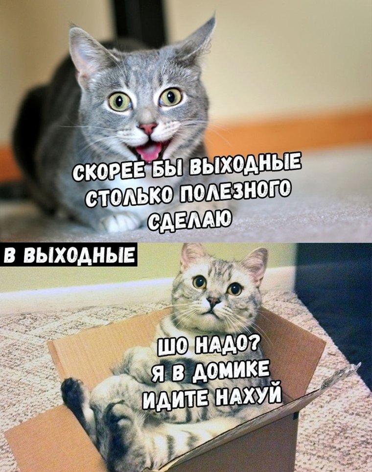 Скорее бы выходные