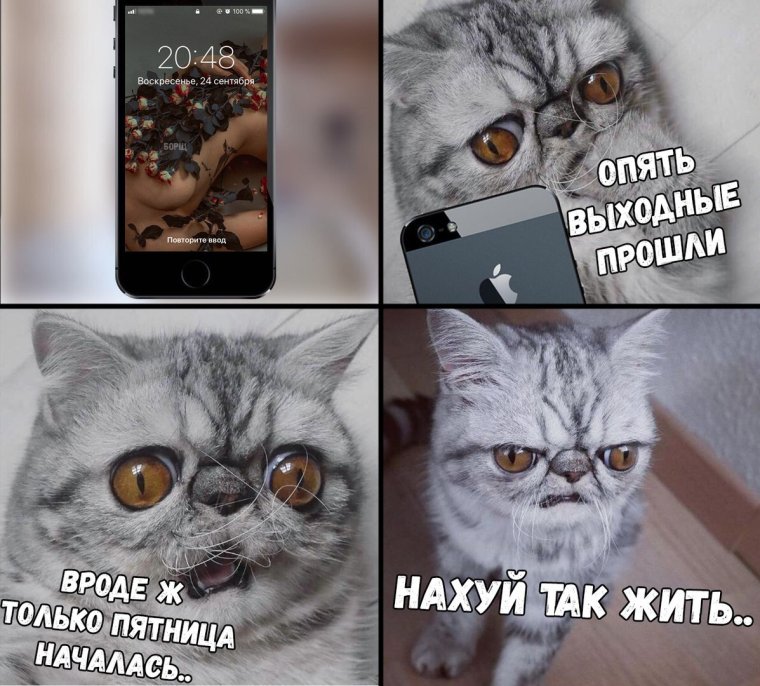 Как прошли выходные картинки