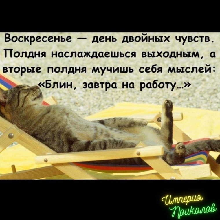 Воскресенье приколы