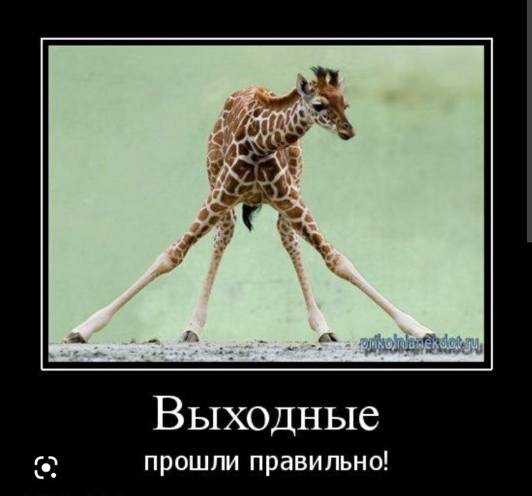 Как прошли выходные картинки прикольные