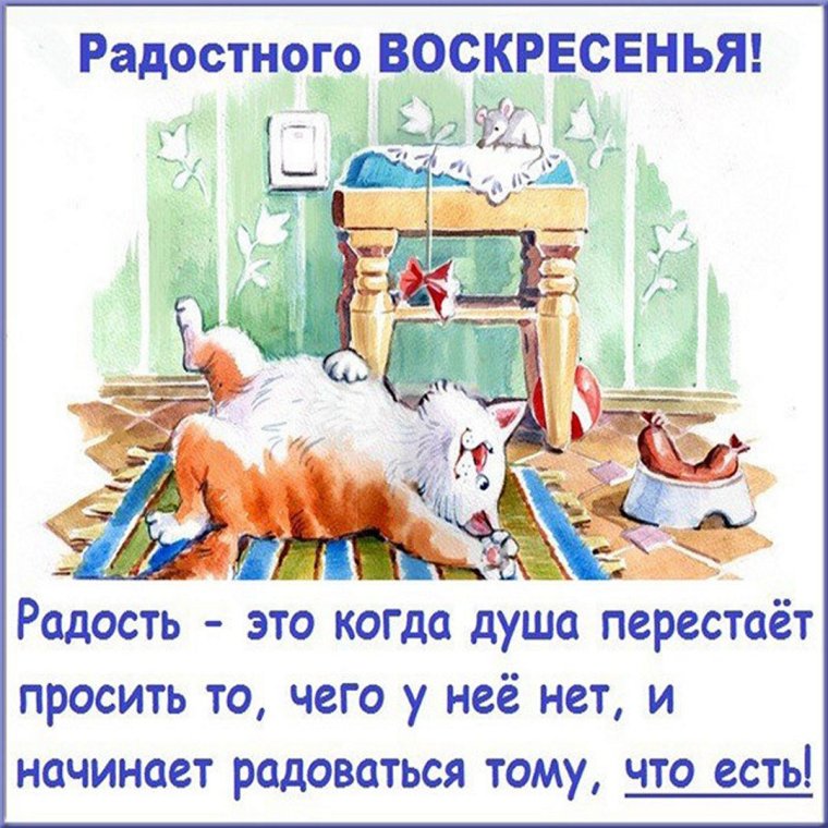 Шутки про воскресенье