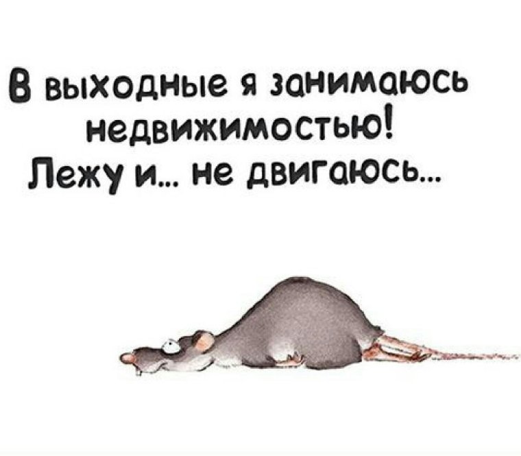 Цитаты про выходные