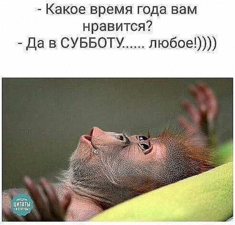 Фразы про субботу