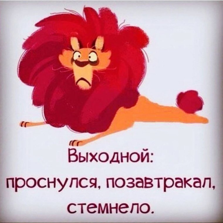 Смешные фразы про выходные