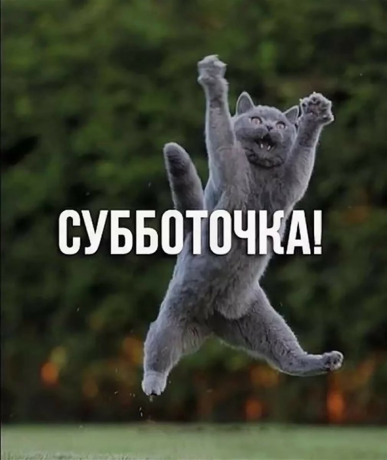 Открытки с субботой прикольные