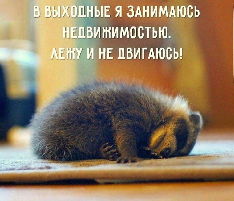 Смешные высказывания про выходные