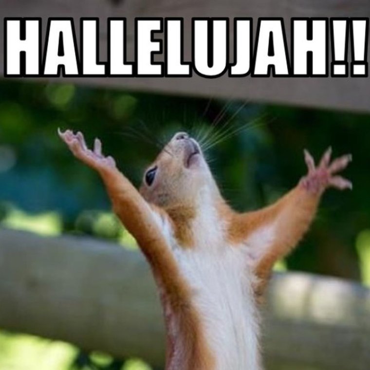 Урааа выходные