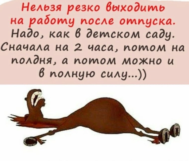 План на день шутка