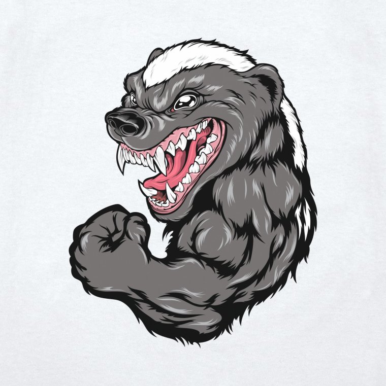 Барсук медоед Банга