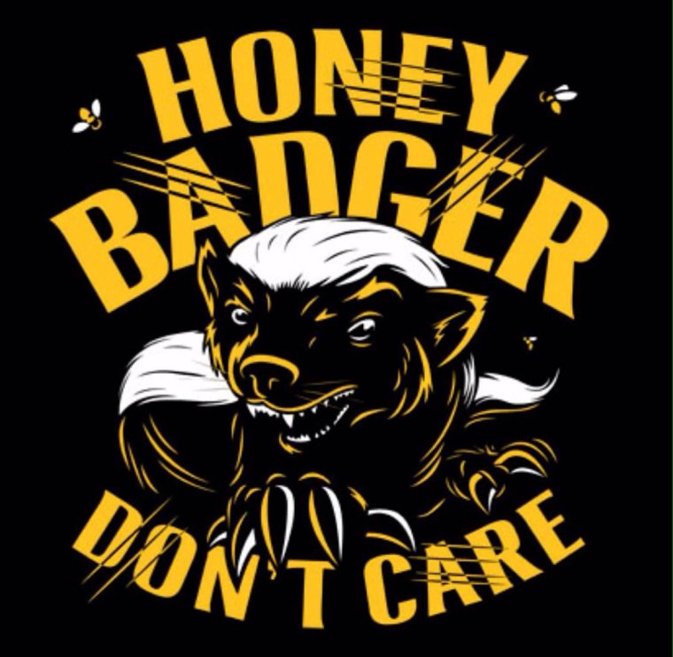 Медоед в ярости арт